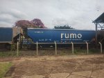 RUMO HTT-352777-8